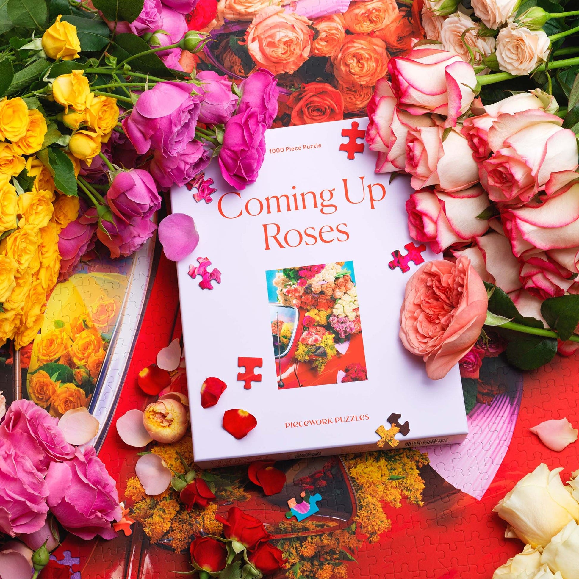 Colorful 1000-piece jigsaw puzzle box titled "Coming Up Roses" surrounded by fresh yellow, pink, and coral roses on red background