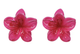 Dragonfruit