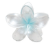 Aqua Pearl