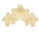 Jelly Lemon