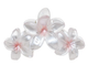 Rose Pearl