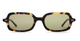 Lunar Tortoise Bio / Polarized Olive