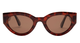 Havana Tortoise/Brown Polarized