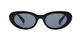 Black/Smoke Polarized