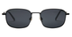Black/Smoke Polarized