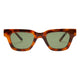 Tortoise/Green Polarized