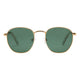 Gold/Green Polarized