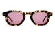 Desert Tortoise / Polarized Plum