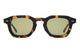 Lunar Tortoise Bio / Polarized Olive