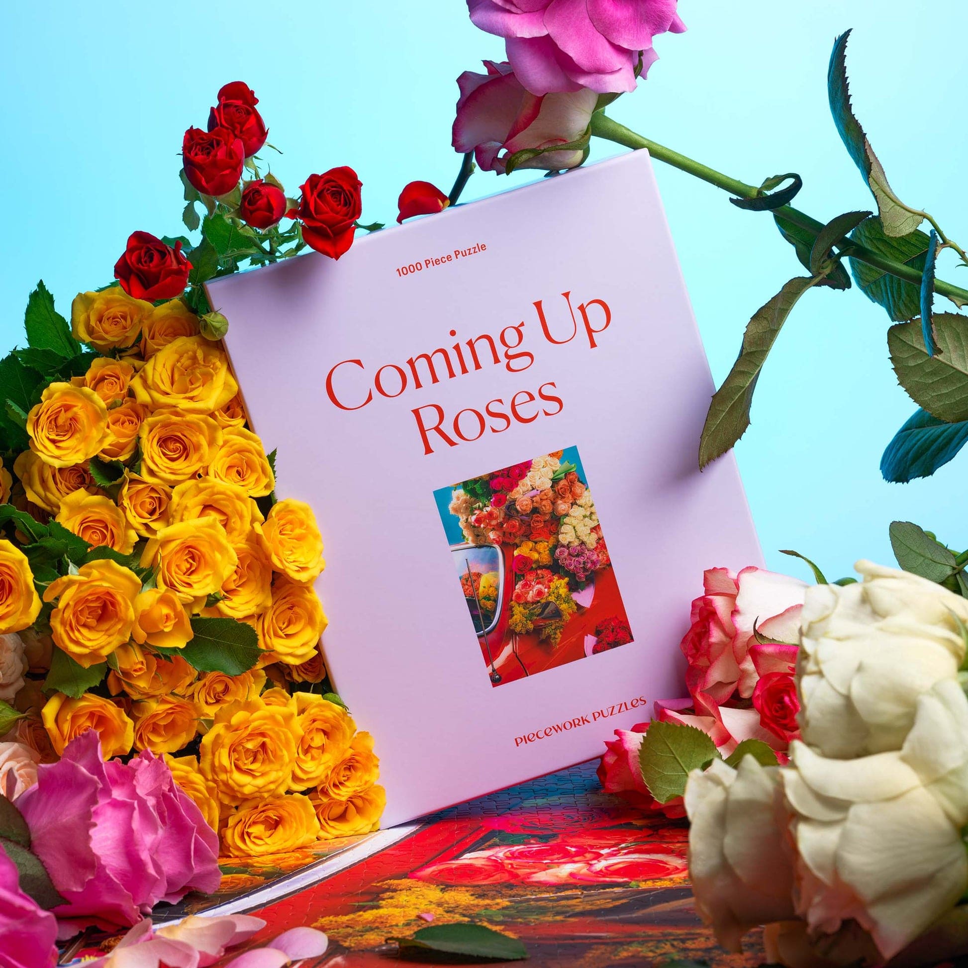 Pink jigsaw puzzle box titled "Coming Up Roses" surrounded by colorful fresh roses in yellow, red, pink and white against blue background