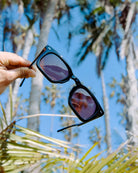 Sunglasses held up with palm trees and blue sky in the background